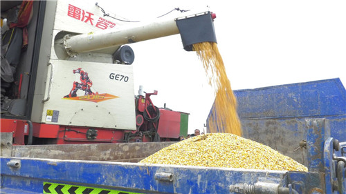 玉米全程机械化